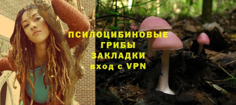 где купить наркоту  Николаевск  Галлюциногенные грибы Magic Shrooms 